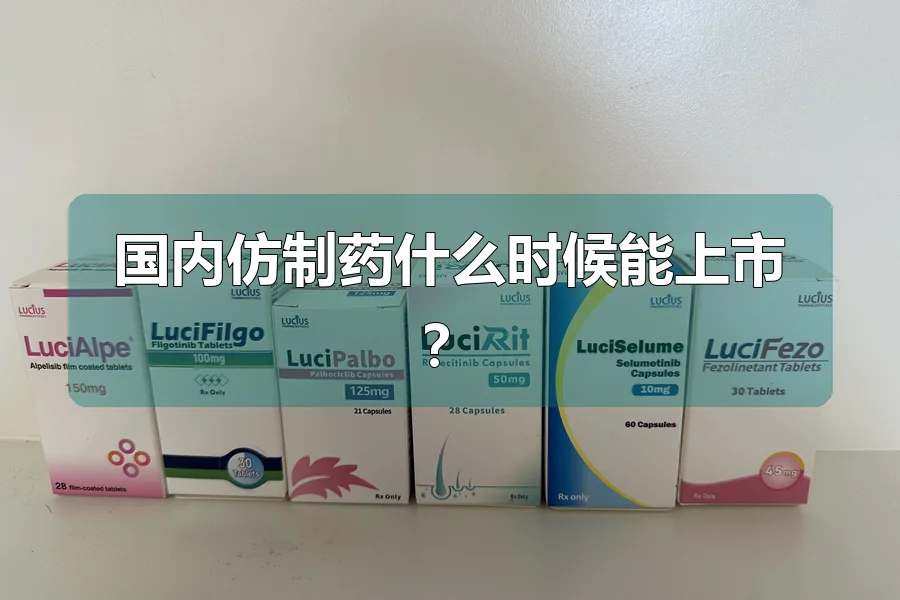 国内仿制药什么时候能上市？